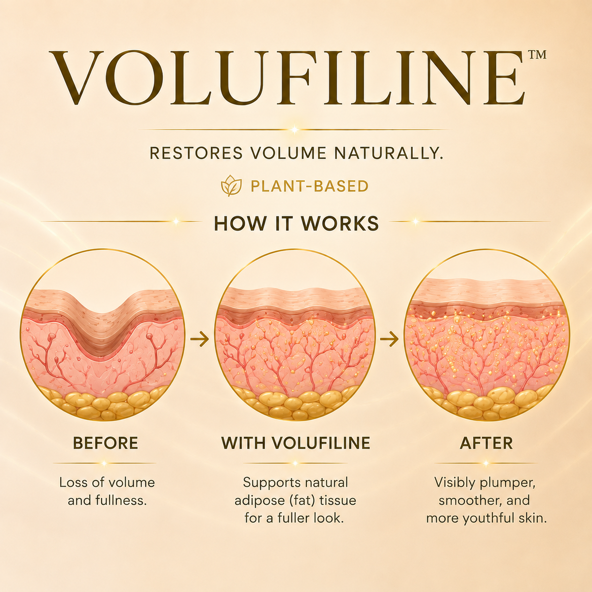 Deep Collagen Silk Lifting Peptide Ampoule.